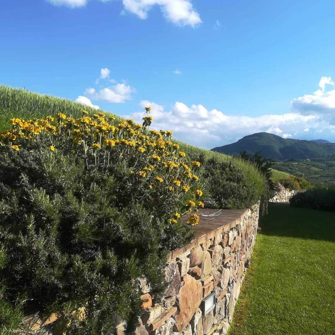 Agriturismo La Paciarella Villa Campiglia d'Orcia Bagian luar foto